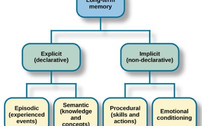 Mémoire déclarative en psychologie : Définition et exemples